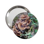 Abstract of Mushroom 2.25  Handbag Mirrors Front