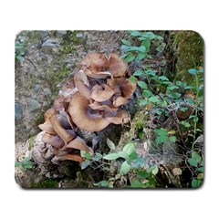 Abstract Of Mushroom Large Mousepads by canvasngiftshop