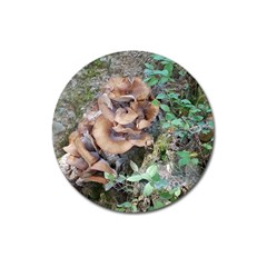 Abstract Of Mushroom Magnet 3  (round) by canvasngiftshop