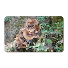 Abstract Of Mushroom Magnet (rectangular) by canvasngiftshop