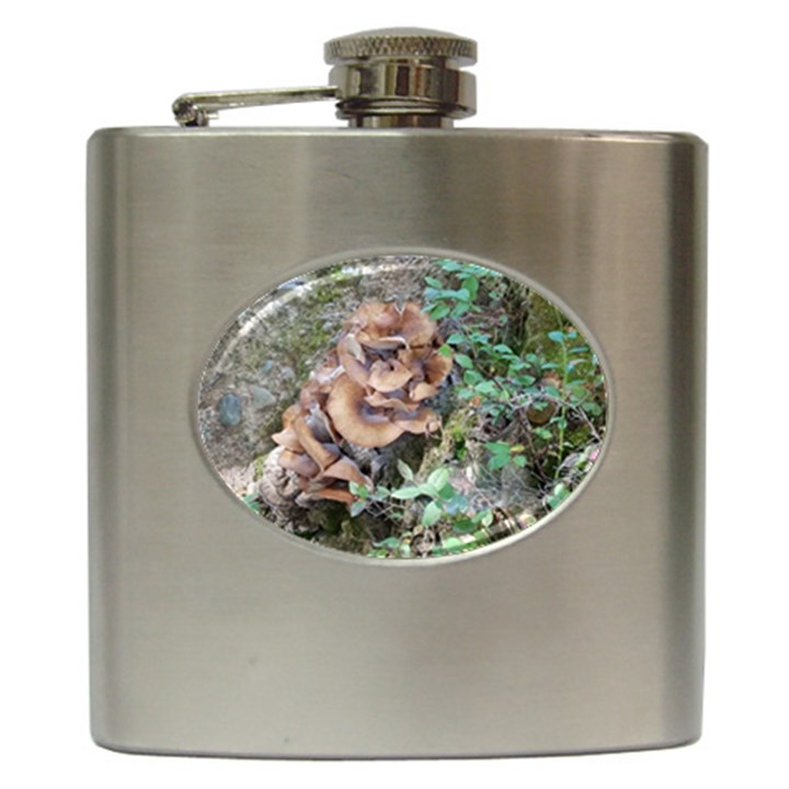 Abstract of Mushroom Hip Flask (6 oz)