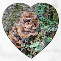 Abstract Of Mushroom Jigsaw Puzzle (heart)