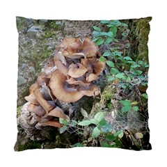 Abstract Of Mushroom Standard Cushion Case (two Sides)