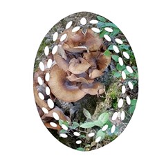 Abstract Of Mushroom Ornament (oval Filigree) by canvasngiftshop