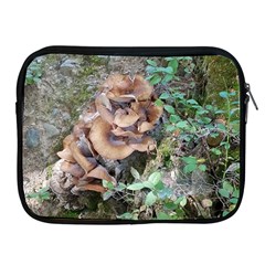 Abstract Of Mushroom Apple Ipad 2/3/4 Zipper Cases