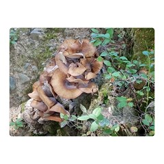 Abstract Of Mushroom Double Sided Flano Blanket (mini) 