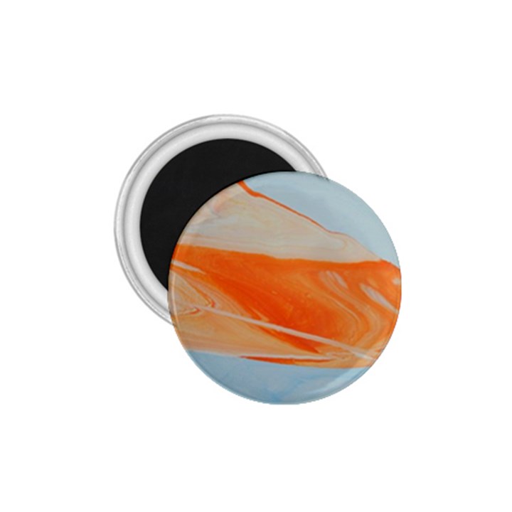 ORANGE AND BLUE 1.75  Magnets