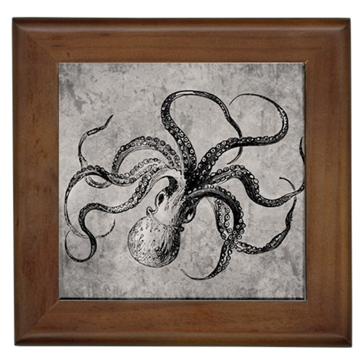 Vintage Octopus  Framed Tiles