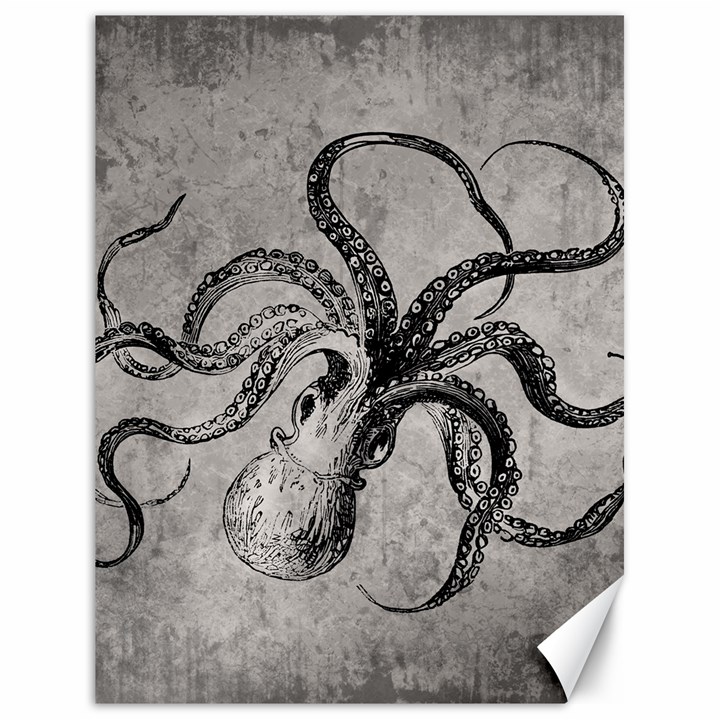 Vintage Octopus  Canvas 18  x 24 