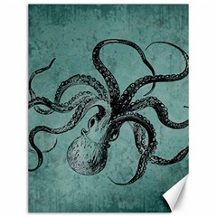 Vintage Octopus  Canvas 12  X 16  by Valentinaart