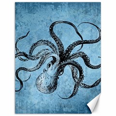 Vintage Octopus  Canvas 12  X 16  by Valentinaart