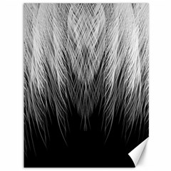 Feather Graphic Design Background Canvas 36  X 48  by Nexatart