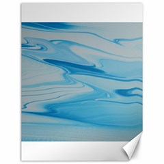 Jet Stream Canvas 12  X 16  by WILLBIRDWELL