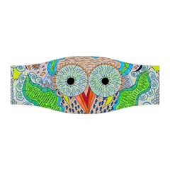 Cosmic Owl Stretchable Headband