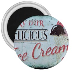 Delicious Ice Cream 3  Magnets