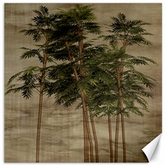 Vintage Bamboo Trees Canvas 12  X 12  by snowwhitegirl