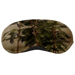 Vintage Bamboo Trees Sleeping Masks by snowwhitegirl