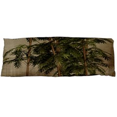 Vintage Bamboo Trees Body Pillow Case (dakimakura) by snowwhitegirl