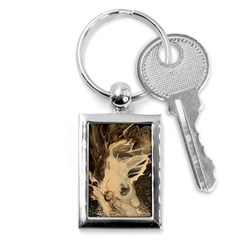 Smoke On Water Key Chains (rectangle)  by WILLBIRDWELL