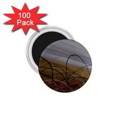 Static 1 75  Magnets (100 Pack)  by WILLBIRDWELL