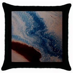 Desert Sky Throw Pillow Case (black) by WILLBIRDWELL