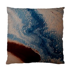 Desert Sky Standard Cushion Case (one Side) by WILLBIRDWELL