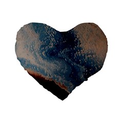 Desert Sky Standard 16  Premium Heart Shape Cushions by WILLBIRDWELL