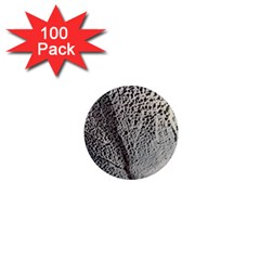 Shadow 1  Mini Magnets (100 Pack)  by WILLBIRDWELL