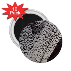 Shadows 2 25  Magnets (10 Pack)  by WILLBIRDWELL