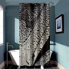 Shadows Shower Curtain 36  X 72  (stall)  by WILLBIRDWELL