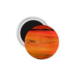 Sunset 1 75  Magnets by WILLBIRDWELL