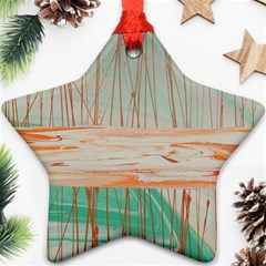 Wheat Field Star Ornament (two Sides) by WILLBIRDWELL