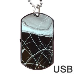 Blue Shell Dog Tag Usb Flash (two Sides) by WILLBIRDWELL