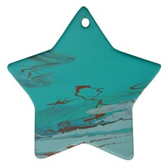 Copper Pond Star Ornament (two Sides) by WILLBIRDWELL