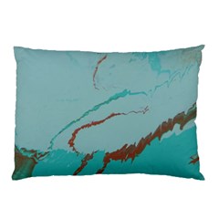 Copper Pond 2 Pillow Case (two Sides) by WILLBIRDWELL