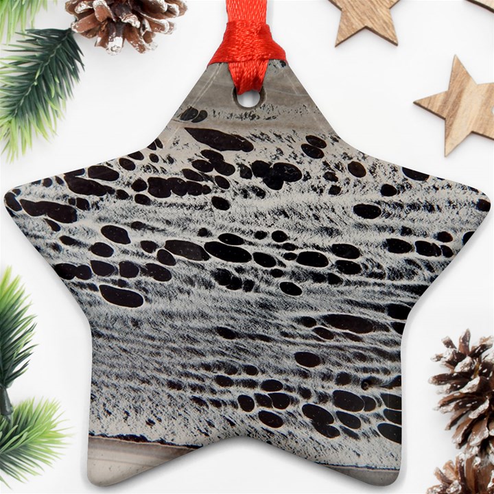 SNAKE SKIN Star Ornament (Two Sides)