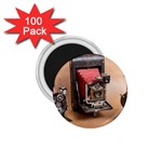 Camera 1149767 1920 1.75  Magnets (100 pack)  Front