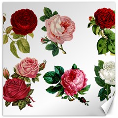 Roses 1770165 1920 Canvas 16  X 16  by vintage2030