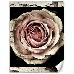 Vintage Rose Canvas 12  X 16  by vintage2030