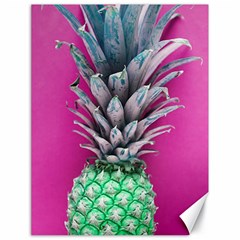 Green Pineapple Canvas 18  X 24 