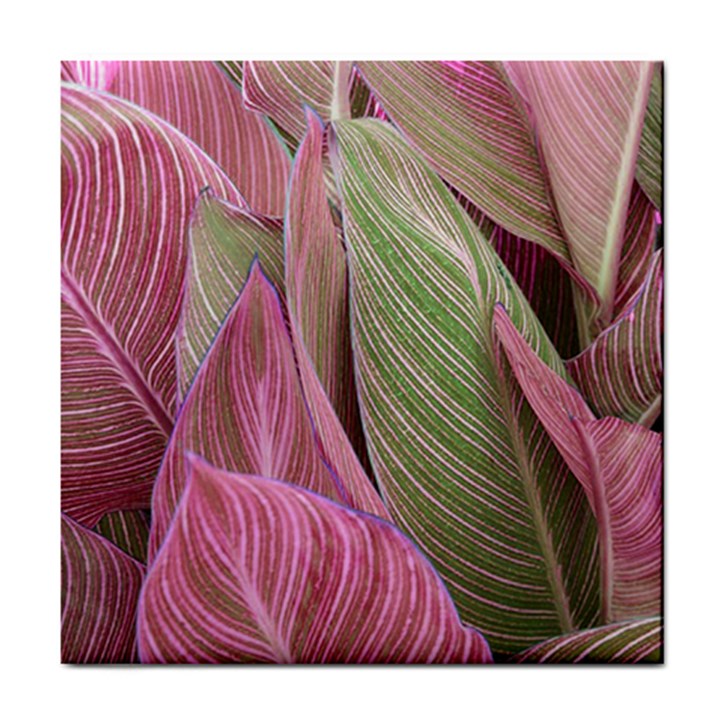 Pink Leaves Tile Coasters