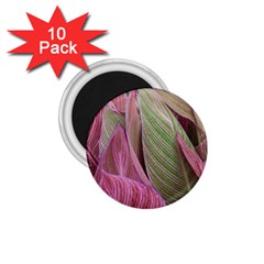 Pink Leaves 1.75  Magnets (10 pack) 