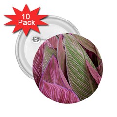 Pink Leaves 2.25  Buttons (10 pack) 