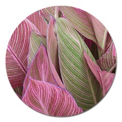 Pink Leaves Magnet 5  (Round)