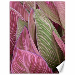 Pink Leaves Canvas 12  x 16 