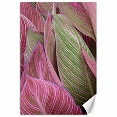 Pink Leaves Canvas 20  x 30 