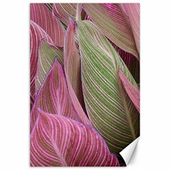 Pink Leaves Canvas 24  x 36 