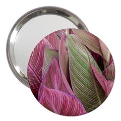 Pink Leaves 3  Handbag Mirrors