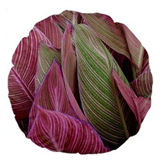 Pink Leaves Large 18  Premium Round Cushions