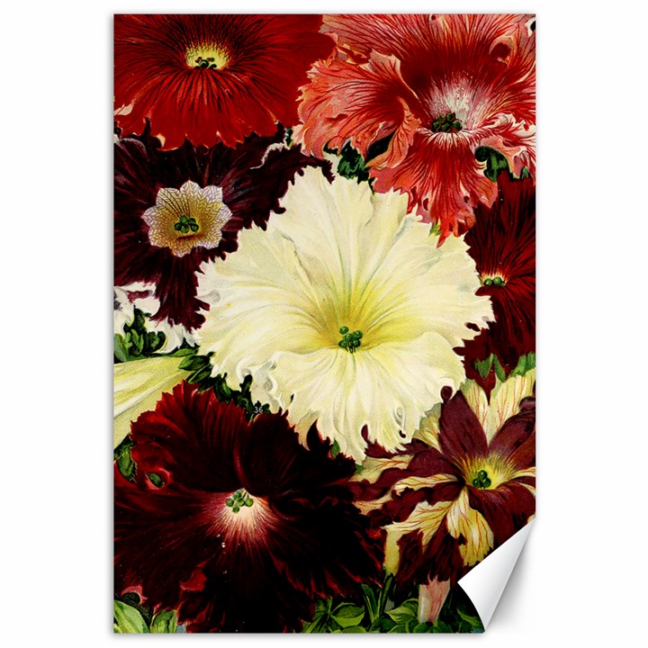 Flowers 1776585 1920 Canvas 12  x 18 